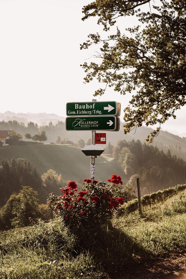里欧查赫Weingut Kollerhof Am Eichberg别墅 外观 照片