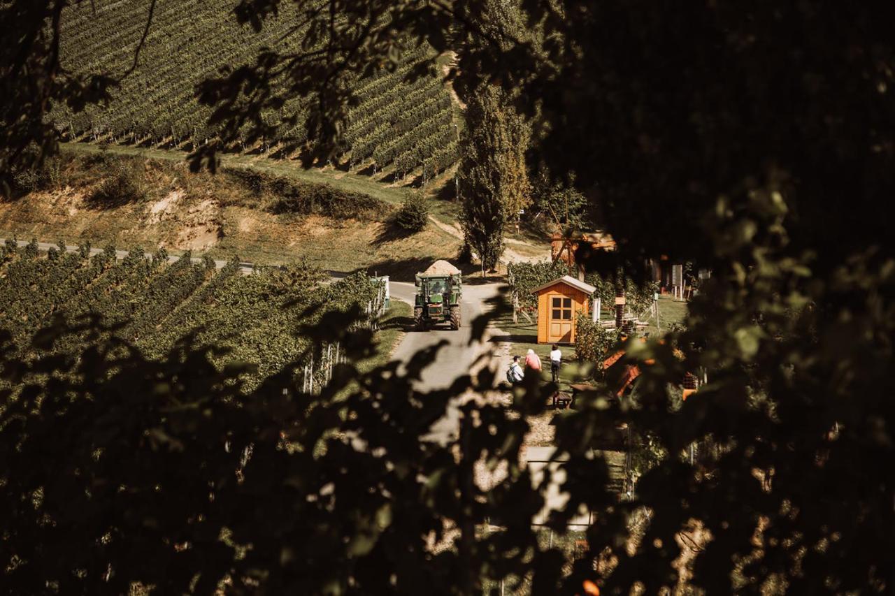 里欧查赫Weingut Kollerhof Am Eichberg别墅 外观 照片